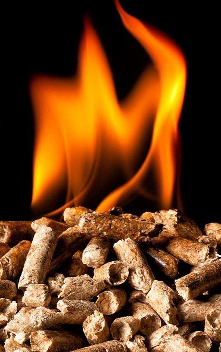 Biomass burning with a bright flame